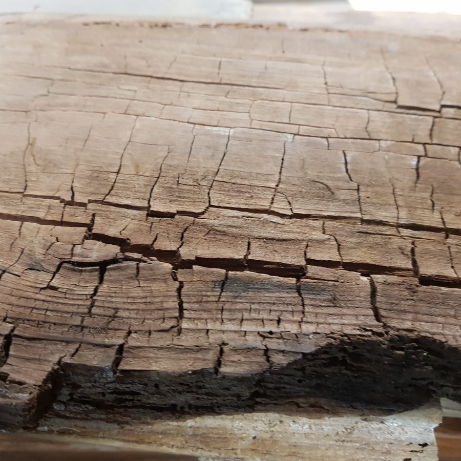Brown rot on window sill