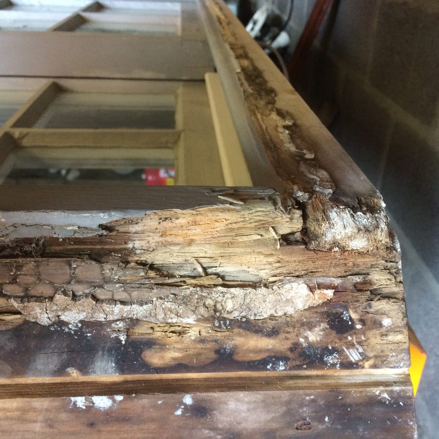 Wet rot in a window frame