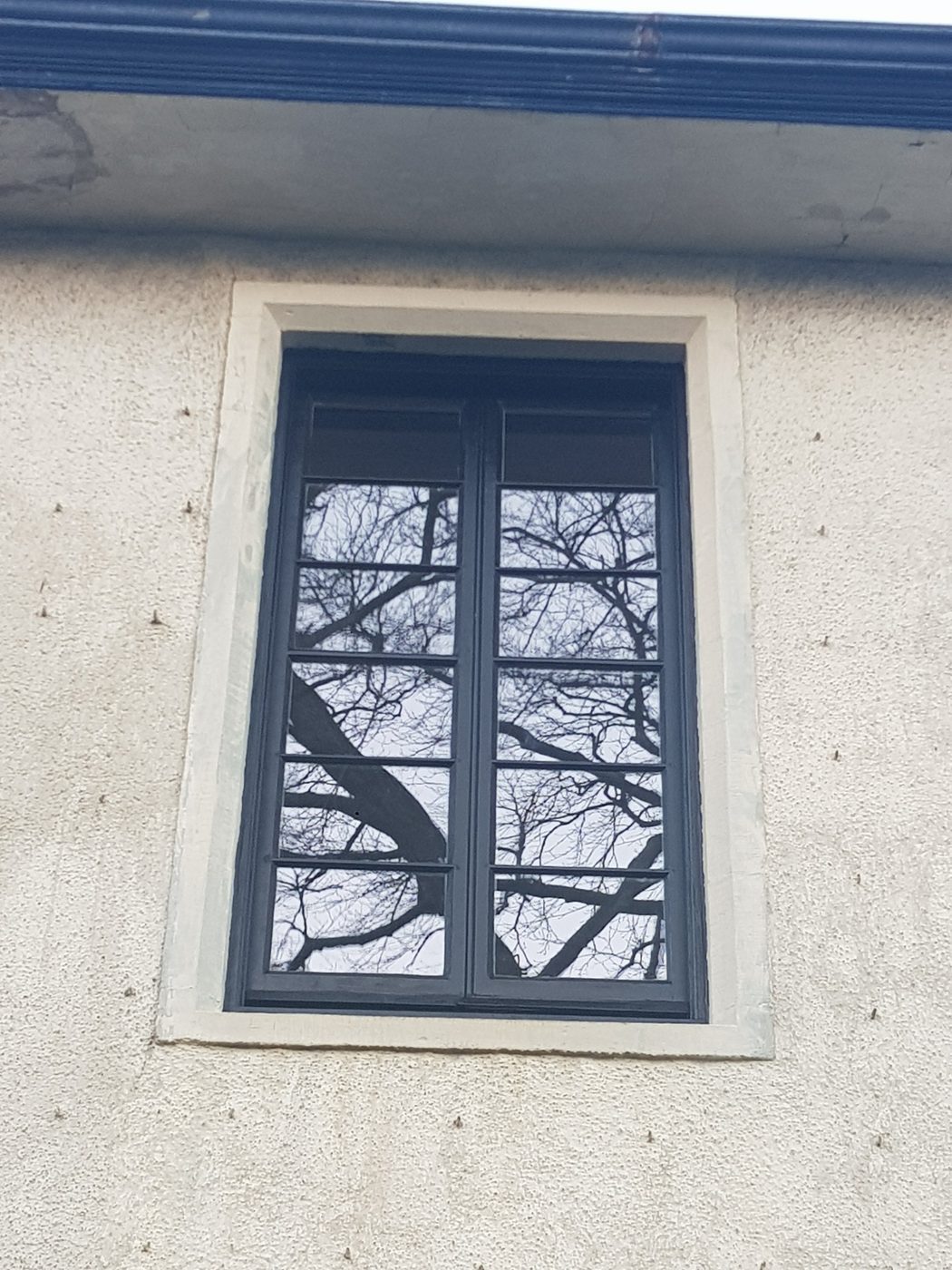 Pair of restored casements with their glazing bars