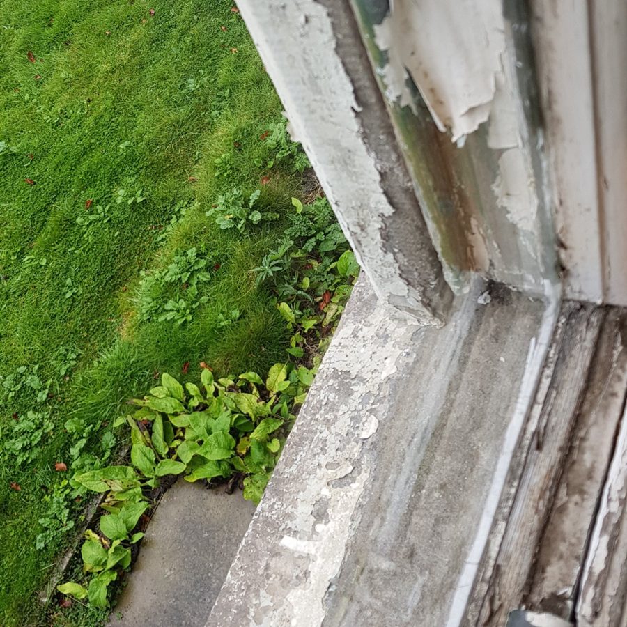 Paint failure and weathered timber at the base of a sash